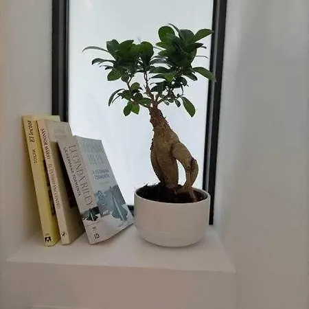 Acogedor En La Playa De 아파트