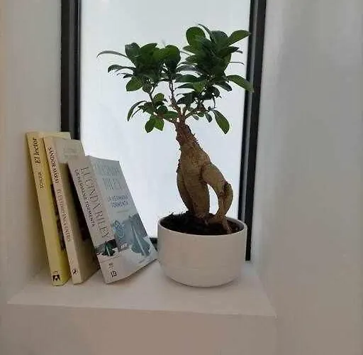 Acogedor En La Playa De Appartement